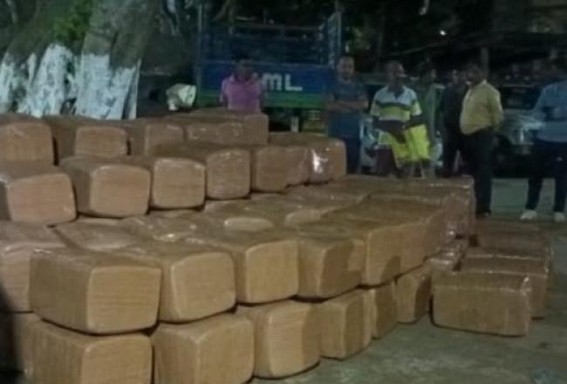 2100 kg Cannabis recovered after 1190 kg from Hawai Bari Checking Point under Teliamura PS 2100 kg Cannabis recovered after 1190 kg from Hawai Bari Checking Point under Teliamura PS