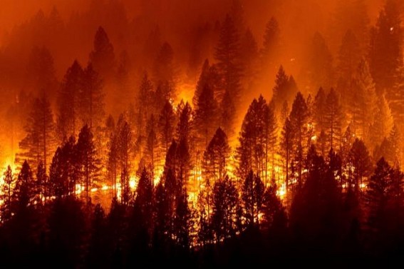 Over 6,000 evacuated due to fast-spreading wildfire in S.Korea Over 6,000 evacuated due to fast-spreading wildfire in S.Korea