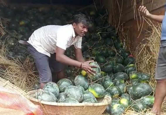 Amid CM’s claim on International marketing of Tripura Fruits, Tripura sellers are dependent on other states’ Fruits: No Watermelon Production in State this Year