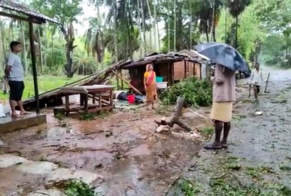 Rain, Storms Affected Lives in Tripura, Houses were damaged, Trees collapsed, Electricity gone in Various areas: Water Loggings hit normal lives Rain, Storms Affected Lives in Tripura, Houses were damaged, Trees collapsed, Electricity gone in Various areas: Water Loggings hit normal lives