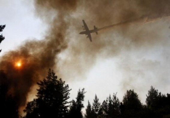 Chile blaze burns over 1,200 hectares of forest