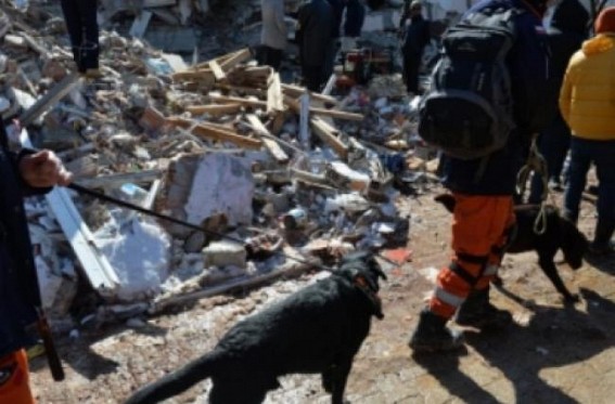 UN continues to deliver cross-border aid to Syria in wake of earthquakes UN continues to deliver cross-border aid to Syria in wake of earthquakes