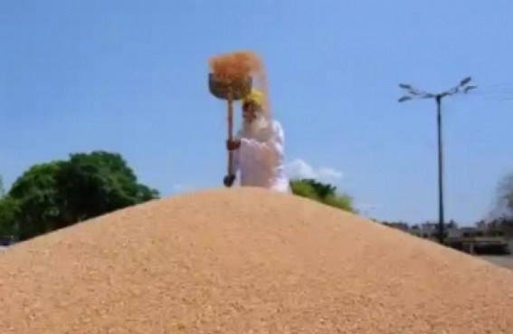 Wheat production estimated at 112.18 million tonnes in 2022-23 Wheat production estimated at 112.18 million tonnes in 2022-23