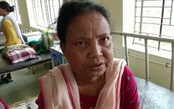 One injured critically in Wild Trunk Elephant’s attack in Teliamura One injured critically in Wild Trunk Elephant’s attack in Teliamura