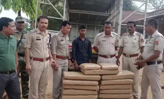 Smuggling via Khowai : 142 KG Dry Ganja Recovered from Assam Vehicle Smuggling via Khowai : 142 KG Dry Ganja Recovered from Assam Vehicle