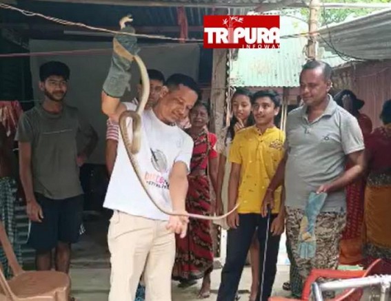 7 Ft Long, Poisonous Snake Recovered by Forest Dept at Salbagan 7 Ft Long, Poisonous Snake Recovered by Forest Dept at Salbagan