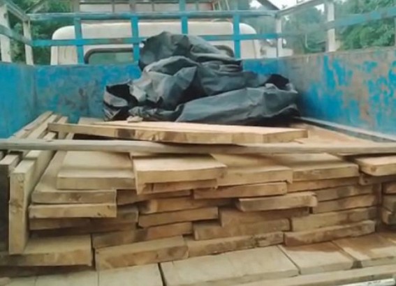 Illegal Wood Cutting, Smuggling Go Rampant in Tripura 