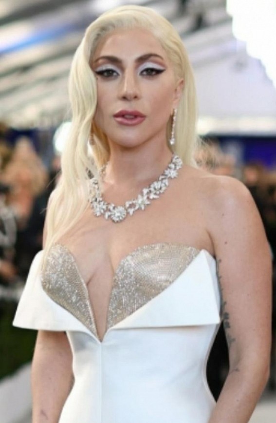 Lady Gaga seeks to dismiss dog theft reward lawsuit Lady Gaga seeks to dismiss dog theft reward lawsuit
