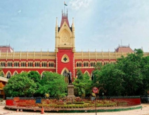 Bengal panchayat polls: Calcutta HC seeks report on administrative failure in protecting candidates Bengal panchayat polls: Calcutta HC seeks report on administrative failure in protecting candidates