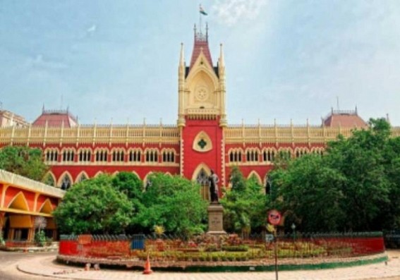 Calcutta HC rejects NHRC's proposal to appoint observer for panchayat polls