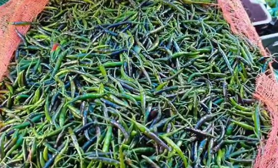 ‘Chilli prices will down soon’ : Food Dept ‘Chilli prices will down soon’ : Food Dept