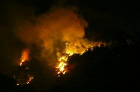 Italy hit by wildfires, heat and hail Italy hit by wildfires, heat and hail