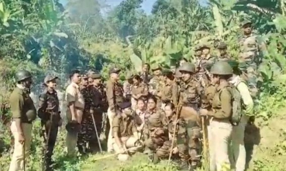 Police destroyed Ganja plantation inside deep Forest in Amarpur Police destroyed Ganja plantation inside deep Forest in Amarpur
