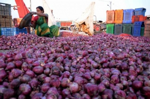 Govt directs NCCF, NAFED to start buying 5 lakh tonnes of onion directly from farmers Govt directs NCCF, NAFED to start buying 5 lakh tonnes of onion directly from farmers