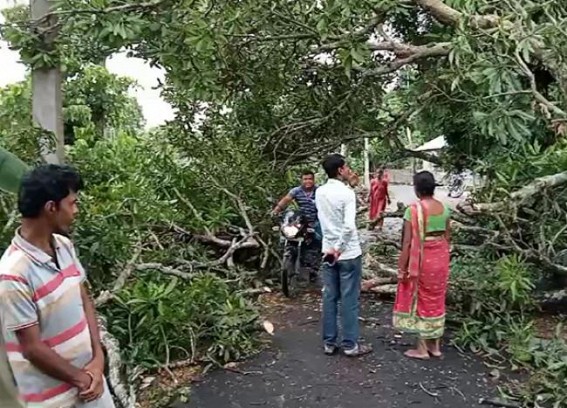 Restoring Electricity Services is the Biggest Challenge now for Tripura Govt Restoring Electricity Services is the Biggest Challenge now for Tripura Govt