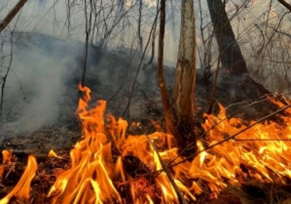 Wildfire forces 1,200 people to evacuate in California Wildfire forces 1,200 people to evacuate in California