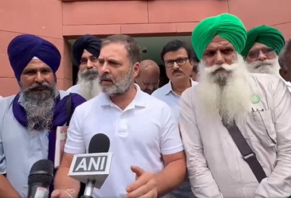 Farmer Leaders met Rahul Gandhi over legal guarantee for the Minimum Support Price (MSP) demand Farmer Leaders met Rahul Gandhi over legal guarantee for the Minimum Support Price (MSP) demand