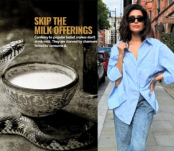 On 'Nag Panchami', Karishma Tanna asks people to stop milk offerings to snakes On 'Nag Panchami', Karishma Tanna asks people to stop milk offerings to snakes