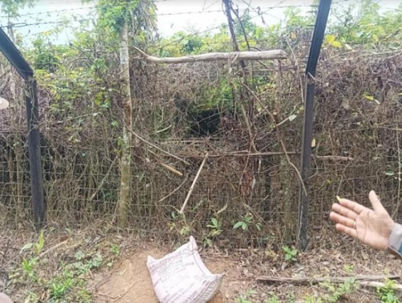 BSF firing Killed a Bangladeshi Smuggler in Tripura Border side BSF firing Killed a Bangladeshi Smuggler in Tripura Border side