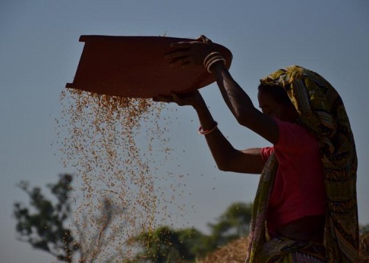 Tripura Nov 2nd week