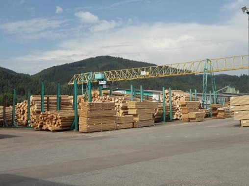 Tripura Govt. Delegation Germany Visit