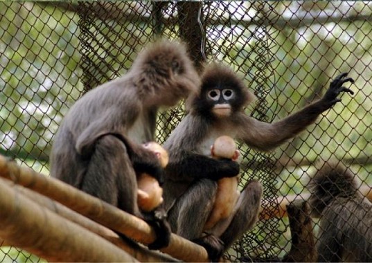 Tripura Sept 3rd week