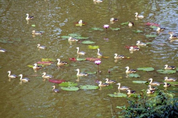 Tripura February 2014 1st week