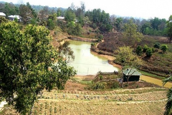 KVK organizes workshop on fish breeding  