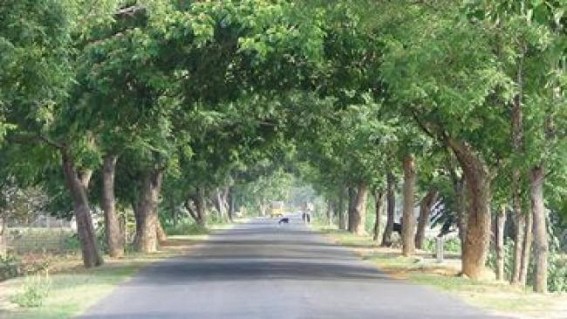 Govt to create separate district wings for effective PMGSY implementation