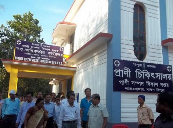 60 Retired ARDD Employees are deprived of Pension benefit 60 Retired ARDD Employees are deprived of Pension benefit