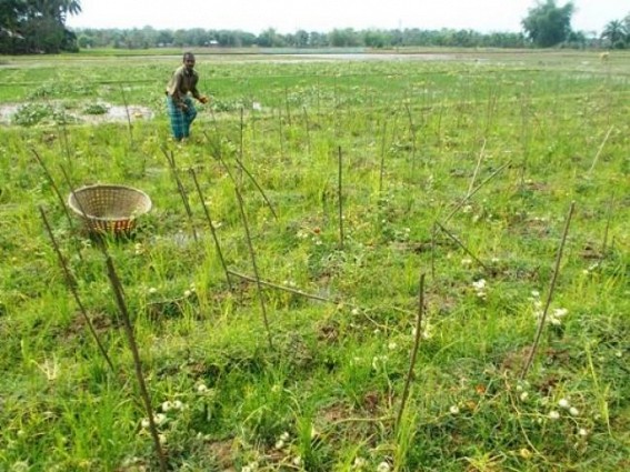 Udaipur : Villages devastated due to excessive rain Udaipur : Villages devastated due to excessive rain