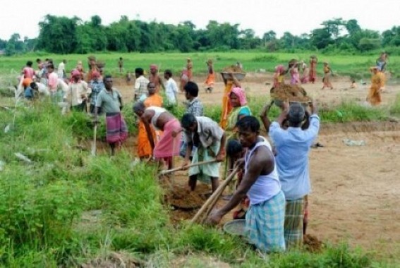 MGNREGA money not reaching the real beneficiaries: alleged by labourers MGNREGA money not reaching the real beneficiaries: alleged by labourers