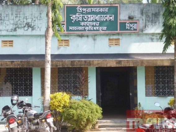 Kamalpur: Unresolved Salema Agri sub-division scam deprived farmers at a large  