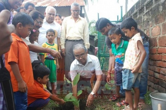 AMC Mayor planted tree on the occasion of ‘Van-Mahotsav-2016’ AMC Mayor planted tree on the occasion of ‘Van-Mahotsav-2016’