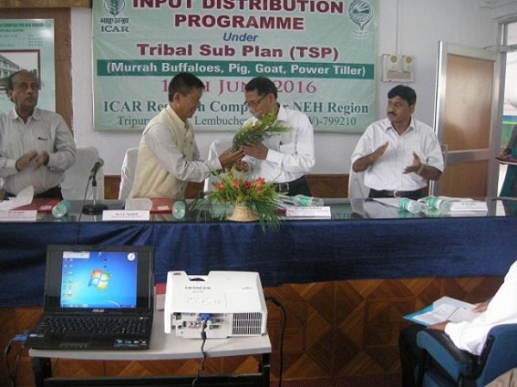 ICAR Tripura launched pilot project on Murrah buffaloes, distribute livestocks ICAR Tripura launched pilot project on Murrah buffaloes, distribute livestocks