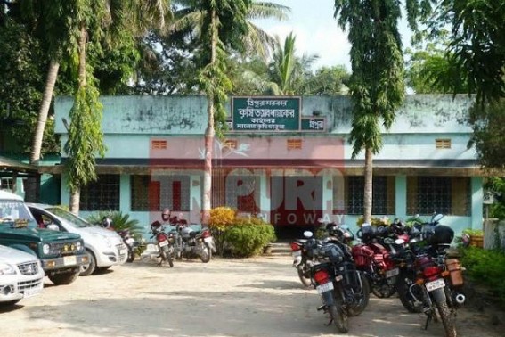 Boro paddy cultivation project under scanner at Methirmia at Kamalpur: Speculation of misappropriation