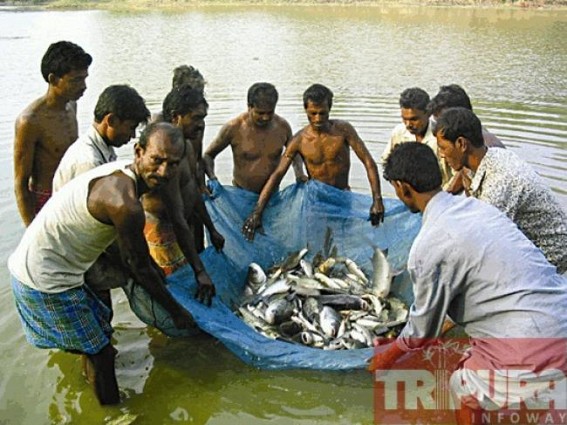 Kamalpur: Price hike hits fish markets on the occasion of Makar Sankranti Kamalpur: Price hike hits fish markets on the occasion of Makar Sankranti