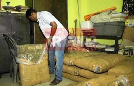 NE Tripura’s illegal Ganja business at rise : police arrested only 1 person in last FY NE Tripura’s illegal Ganja business at rise : police arrested only 1 person in last FY