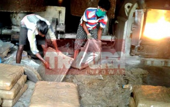 Rs 2.62 crores Ganja, phensedyl damaged with HC's order