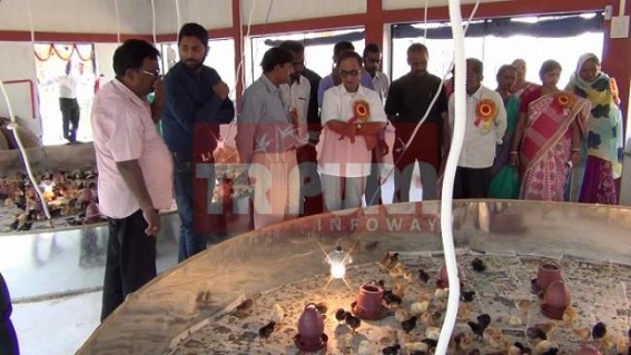Tripura's agricultural, industrial productions are not upto the mark : Tapan Chakraborty 