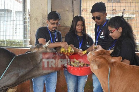 World Animal Day celebrated 