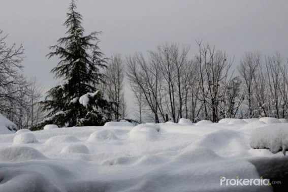 2 killed, 10 missing as J&K gets heaviest snowfall this season 2 killed, 10 missing as J&K gets heaviest snowfall this season