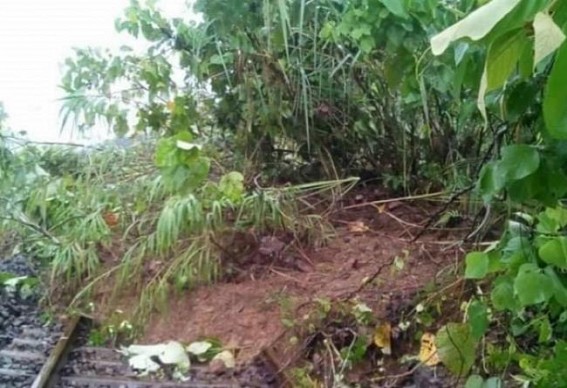 Train services halted in Northeast due to landslide