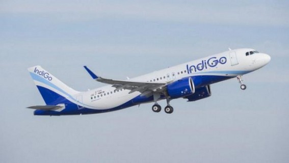 Safety First: DGCA to conduct audit of IndiGo, Vistara