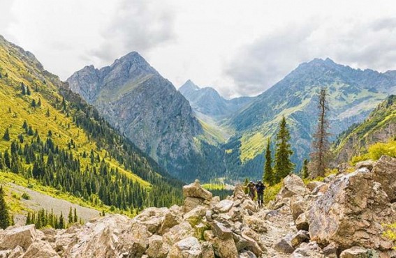 Kyrgyzstan reports 538 new Covid-19 cases Kyrgyzstan reports 538 new Covid-19 cases