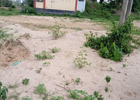 Illegal sand extraction goes rampant across the state, concerned departments playing silent role