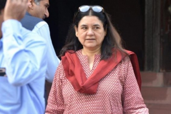 Conversation between Maneka Gandhi, businessman goes viral over treatment of animals