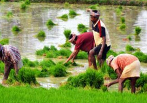 Farmer in UP asked to show proof of 'life' Farmer in UP asked to show proof of 'life'