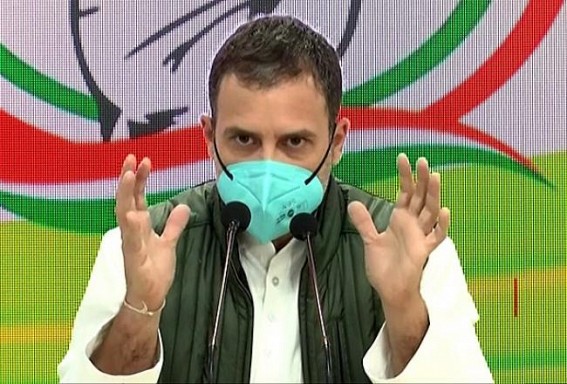 BJP has captured India's entire institutional framework: Rahul