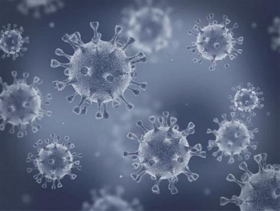 How Covid pandemic led to higher levels of allergens at homes